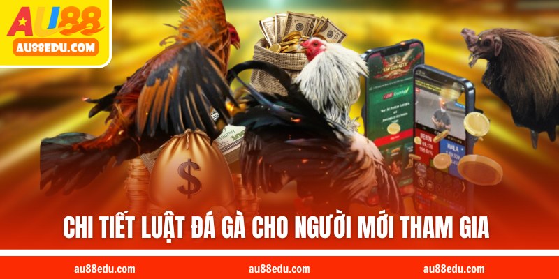 Chi tiết luật đá gà cho người mới tham gia 