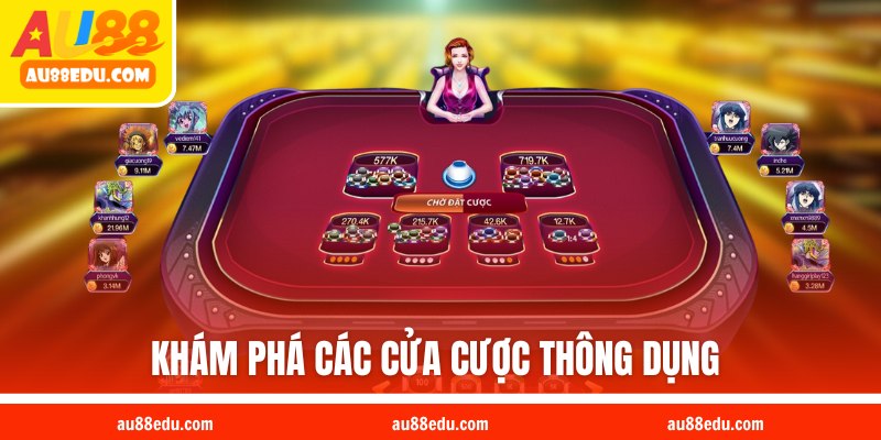 Khám phá các cửa cược thông dụng trong tựa game này